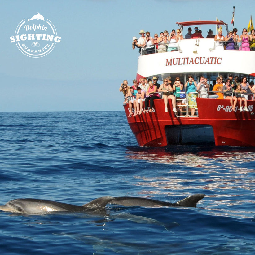 Multiacutatic Dolphin Search Trip