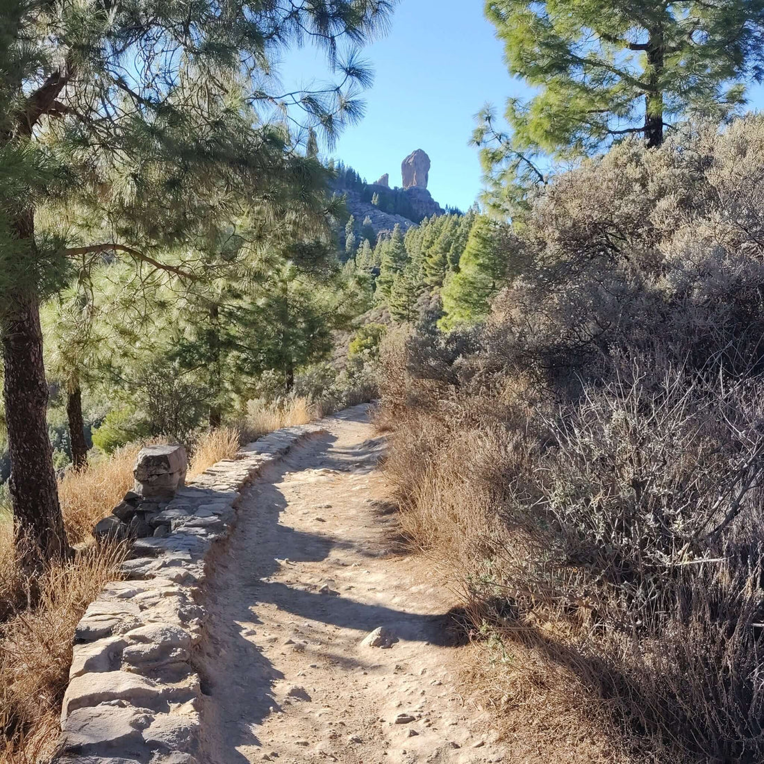 Panorama Vip Tour of Gran Canaria