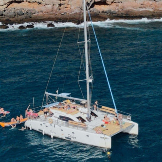 Dolphin Playa Catamaran Boat Trip (4h)