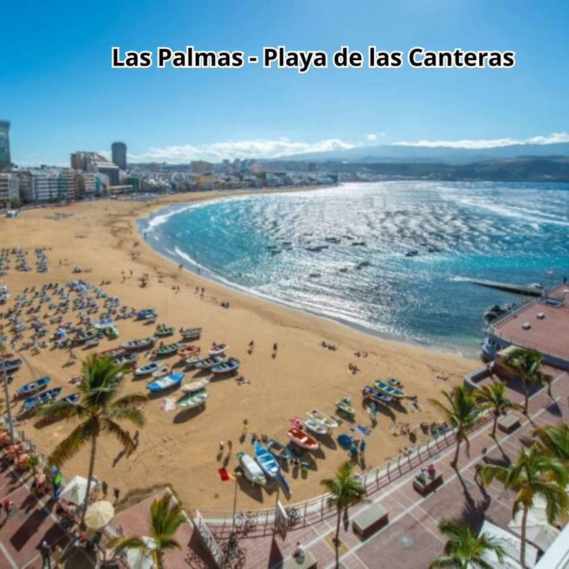 Gran Canaria by Bus - Big Island Tour