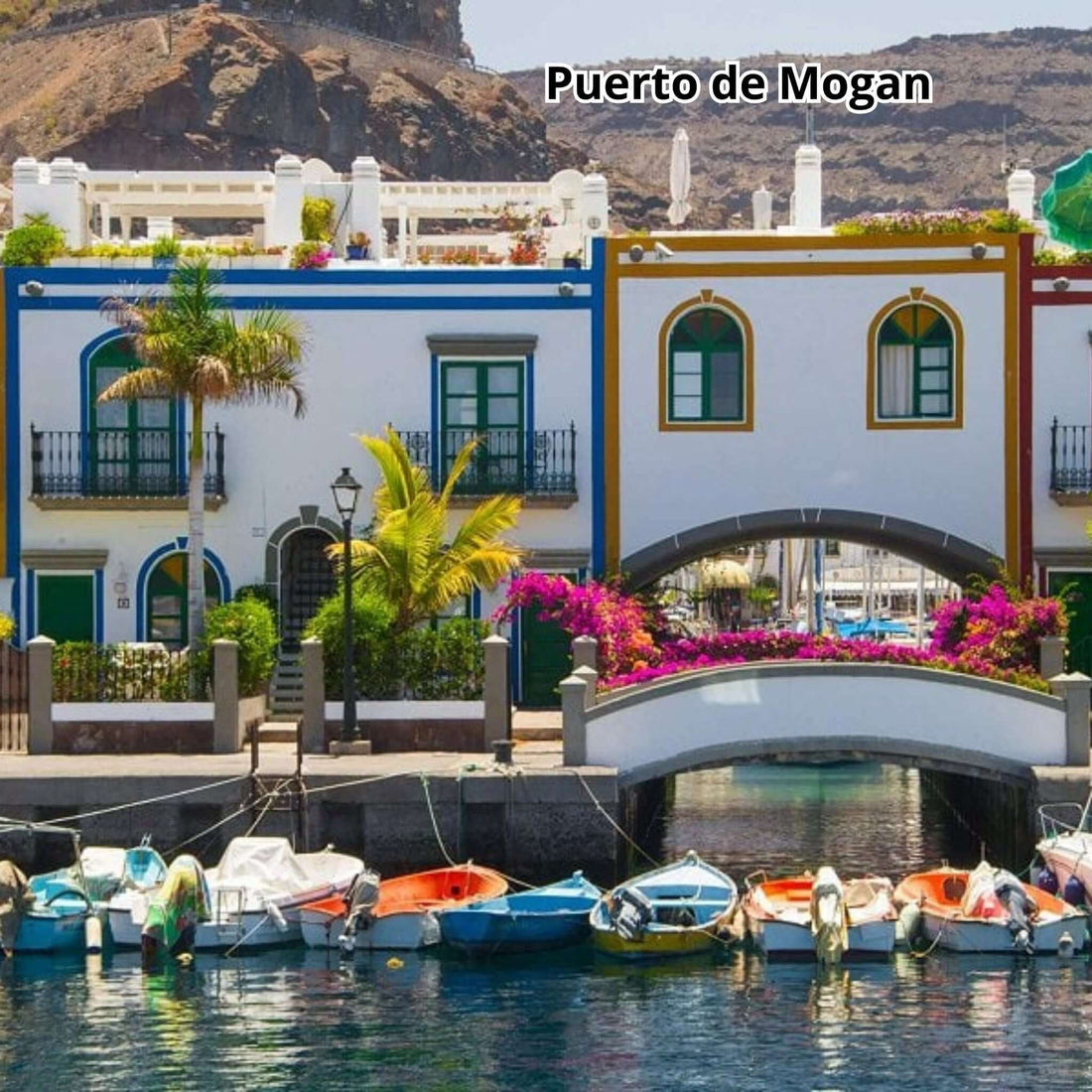 Gran Canaria by Bus - Big Island Tour