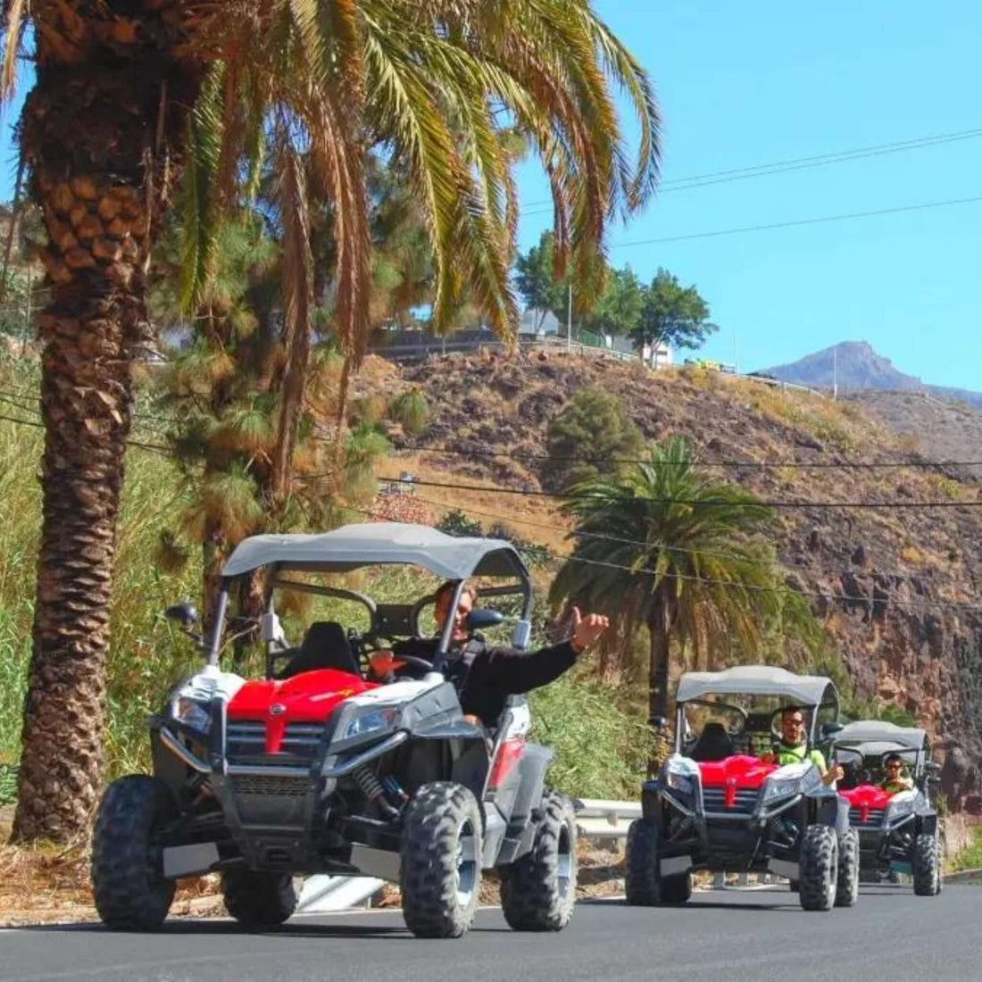 Premium Buggy Tour by BEST Services GC