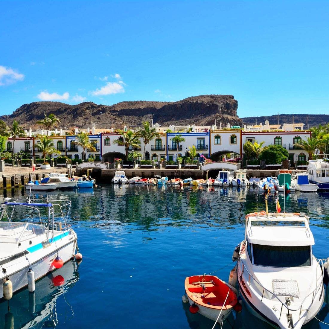 Catamaran Boat Trip (4h)