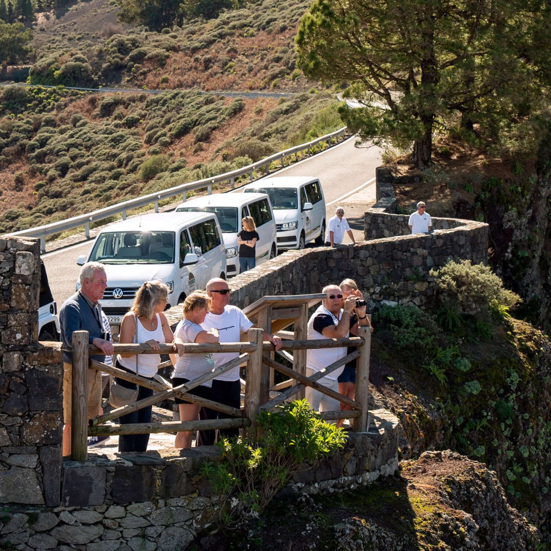 Panorama Vip Tour of Gran Canaria