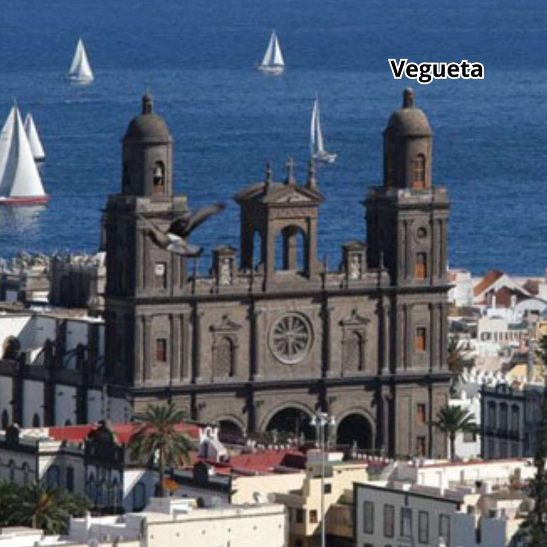 Gran Canaria by Bus - Las Palmas, Volcan, Botanical Garden