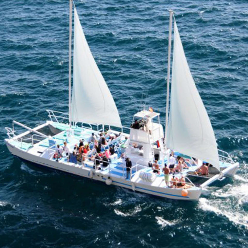 Coastal Catamaran Trip (4h)