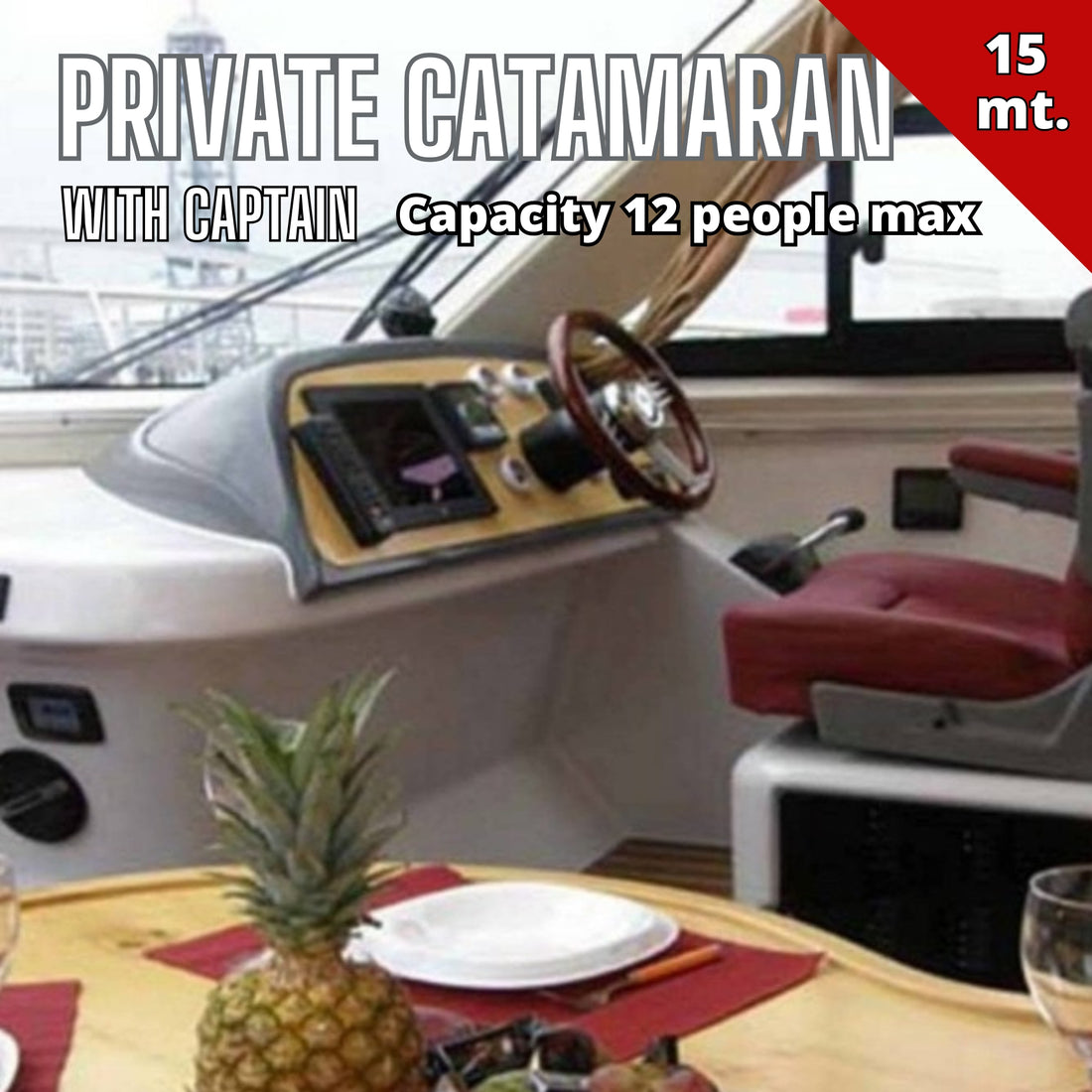 Private Catamaran Rental (capacity 12 people)