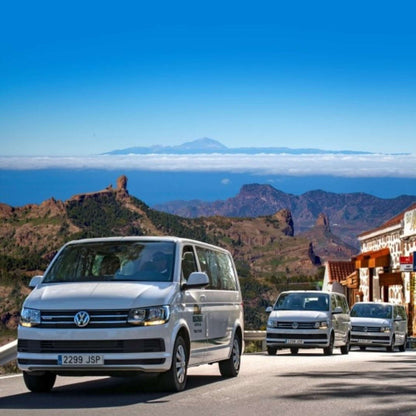 Panorama Island tour of Gran Canaria Vip