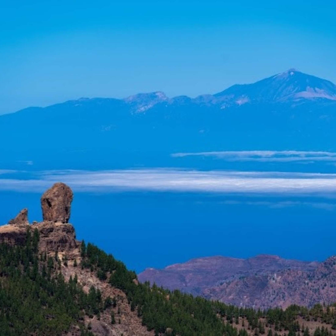 Panorama Island tour of Gran Canaria Vip