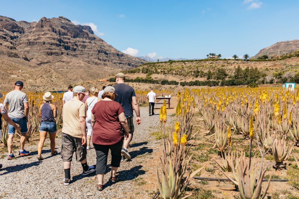 Jeep Safari in Gran Canaria | Take the Tour