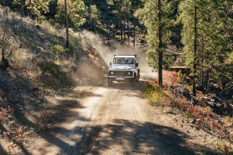 Jeep Safari in Gran Canaria | Take the Tour