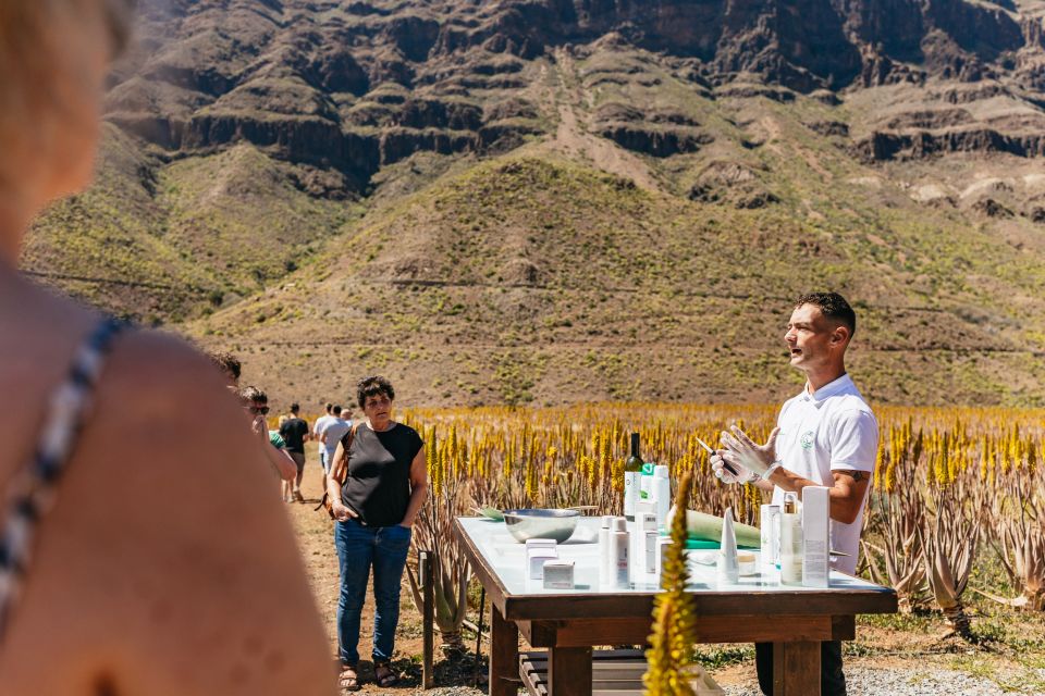 Jeep Safari in Gran Canaria | Take the Tour