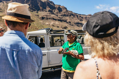 Jeep Safari in Gran Canaria | Take the Tour