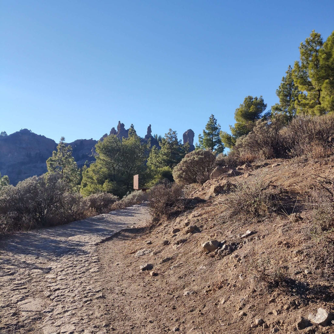 Hiking - Roque Nublo Route