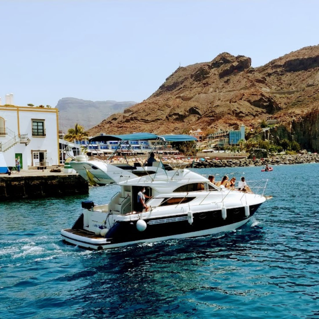 Exclusive Whales & Dolphin Search Boat Trip