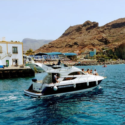 Exclusive Whales & Dolphin Search Boat Trip