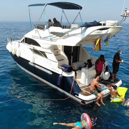 Exclusive Whales & Dolphin Search Boat Trip
