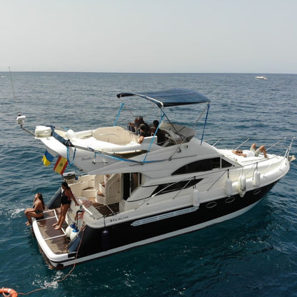 Exclusive Whales & Dolphin Search Boat Trip