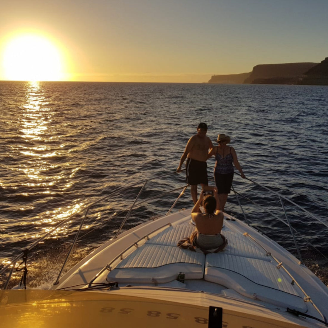Exclusive Whales & Dolphin Search Boat Trip