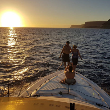 Exclusive Whales & Dolphin Search Boat Trip