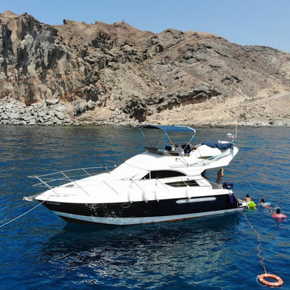 Exclusive Whales & Dolphin Search Boat Trip