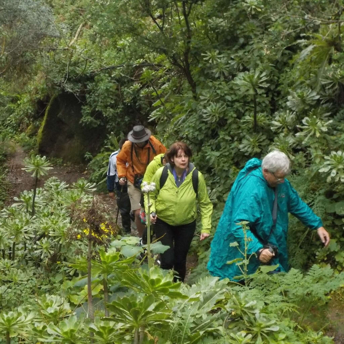 Hiking - Waterfall Route