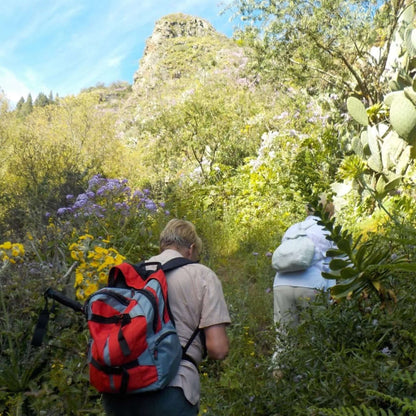Hiking - Waterfall Route