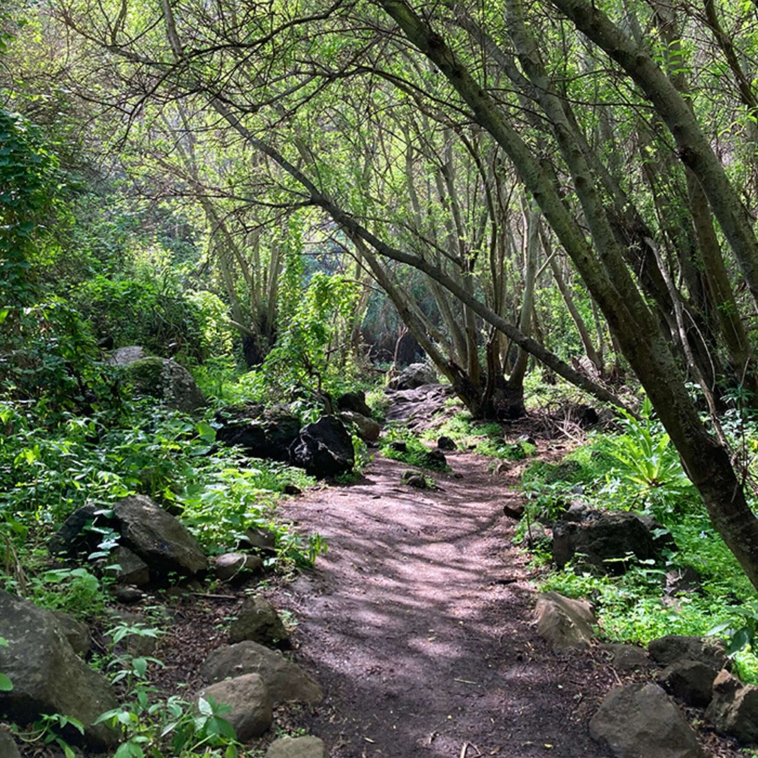 Hiking - Kestrel Canyon Route