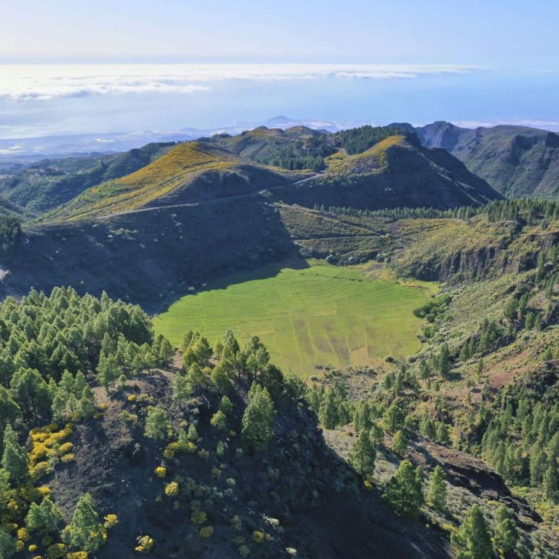 Panorama Island tour of Gran Canaria Vip