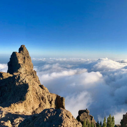 Panorama Island tour of Gran Canaria Vip