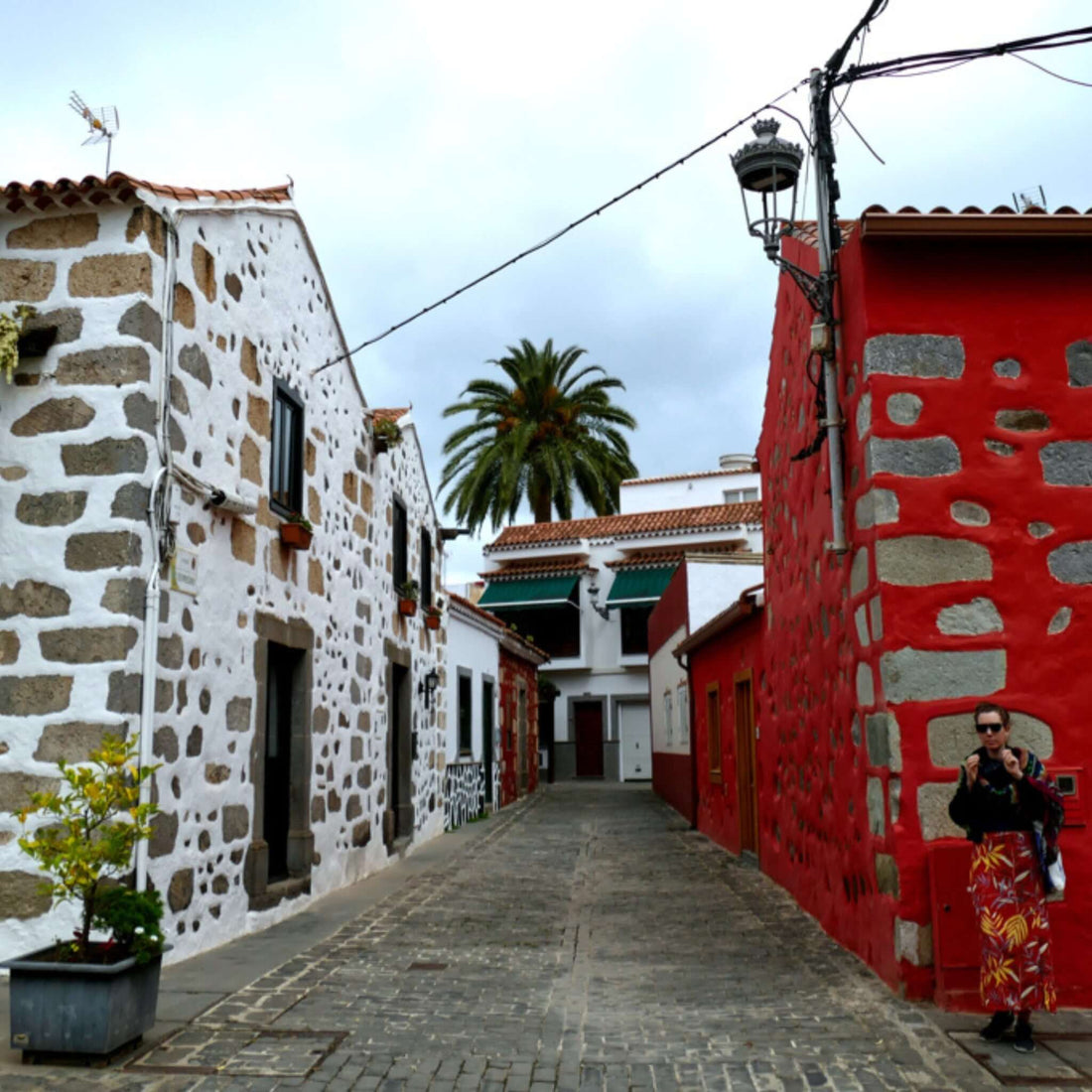 Panorama Island tour of Gran Canaria Vip