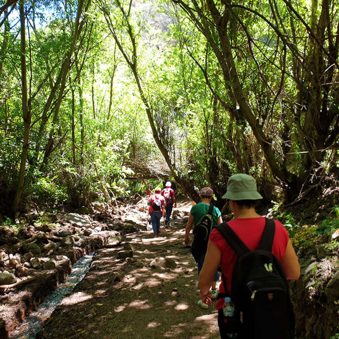Hiking - Kestrel Canyon Route