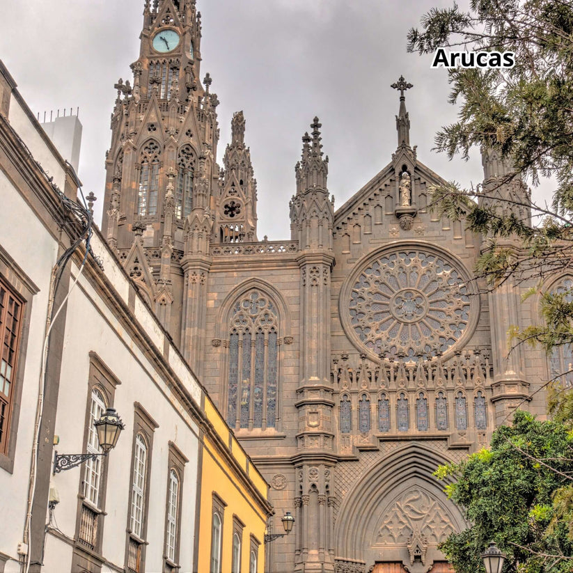 Gran Canaria by Bus - Big Island Tour