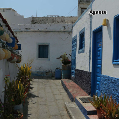 Gran Canaria by Bus - Big Island Tour