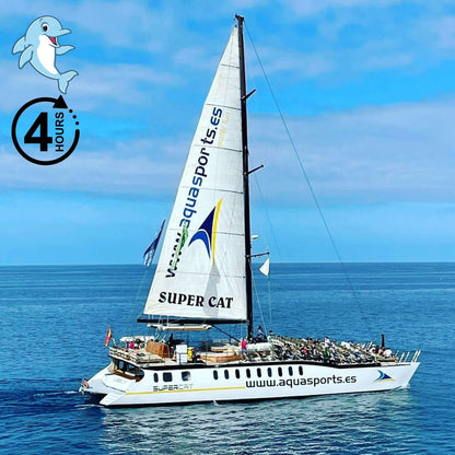 Combo #1 - Super Cat & Buggy Adventure Tour