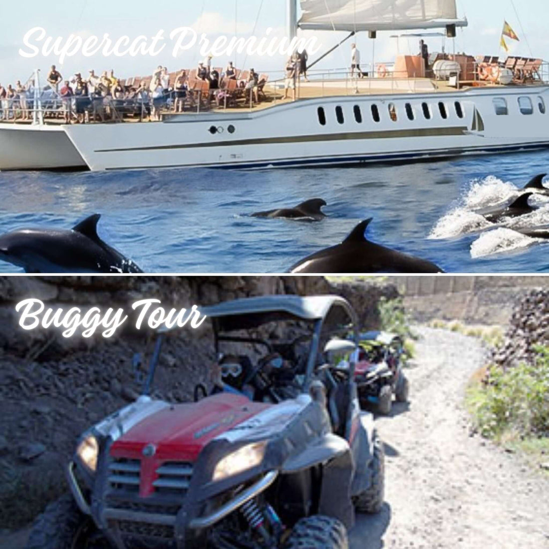 Combo #1 - Super Cat & Buggy Adventure Tour