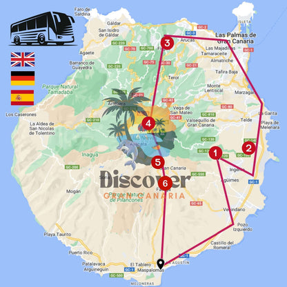 Gran Canaria by Bus - VIP Tour