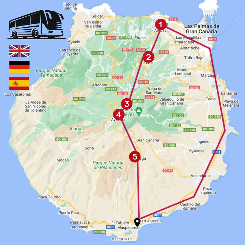 Gran Canaria by Bus - Highlights