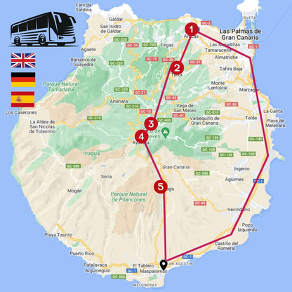 Gran Canaria by Bus - Highlights