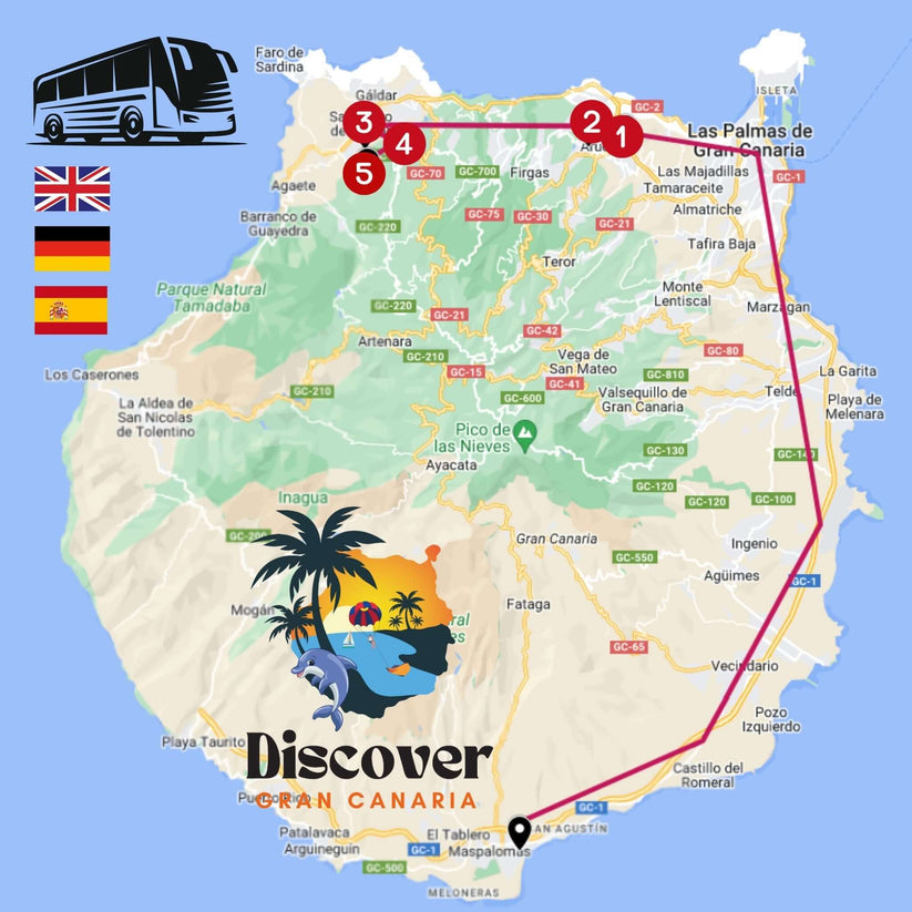 Gran Canaria by Bus - Premium Tour