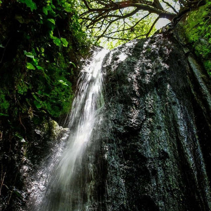 Hiking - Waterfall Route