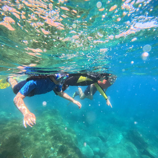 Snorkeling Experience