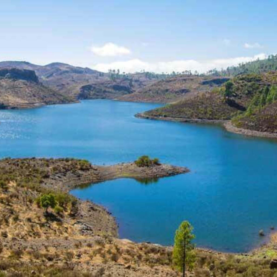 Jeep Safari in Gran Canaria | Take the Tour