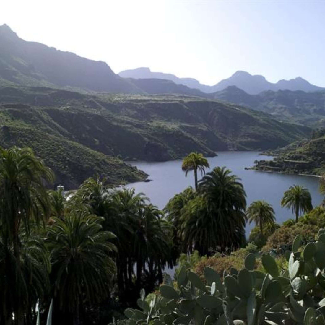Jeep Safari in Gran Canaria | Take the Tour