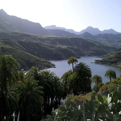 Jeep Safari in Gran Canaria | Take the Tour