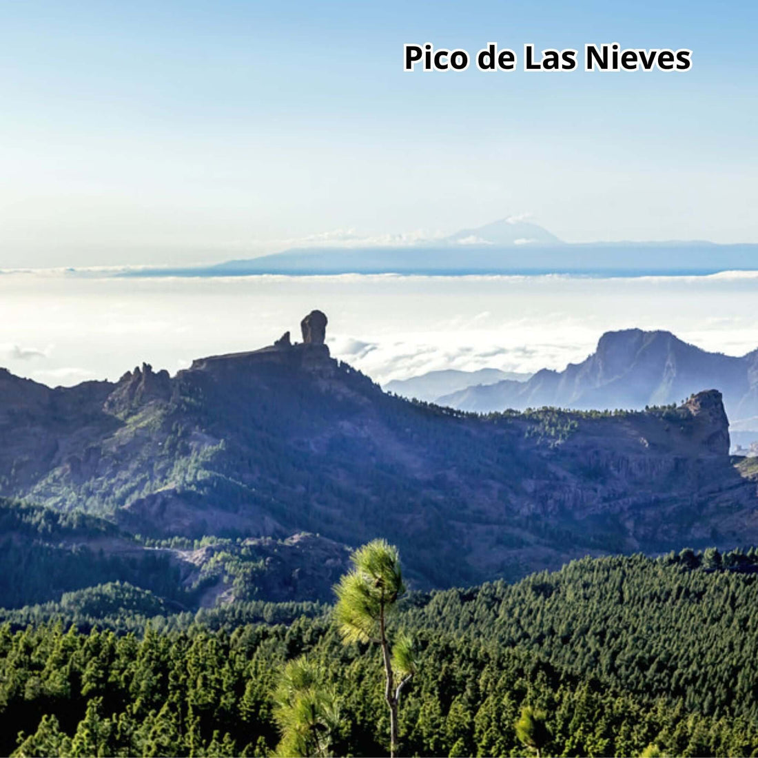 Highlights Tour of Gran Canaria