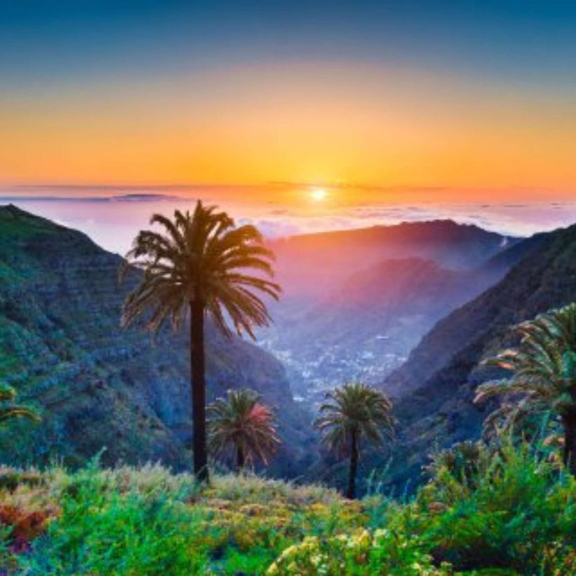 Jeep Safari in Gran Canaria | Take the Tour