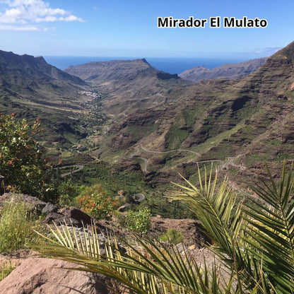 Highlights Tour of Gran Canaria