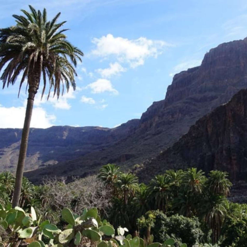 Jeep Safari in Gran Canaria | Take the Tour