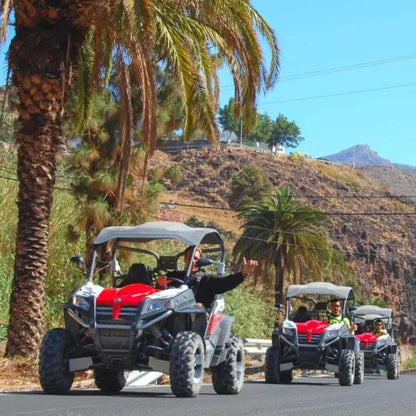 Premium Buggy Tour by BEST Services GC